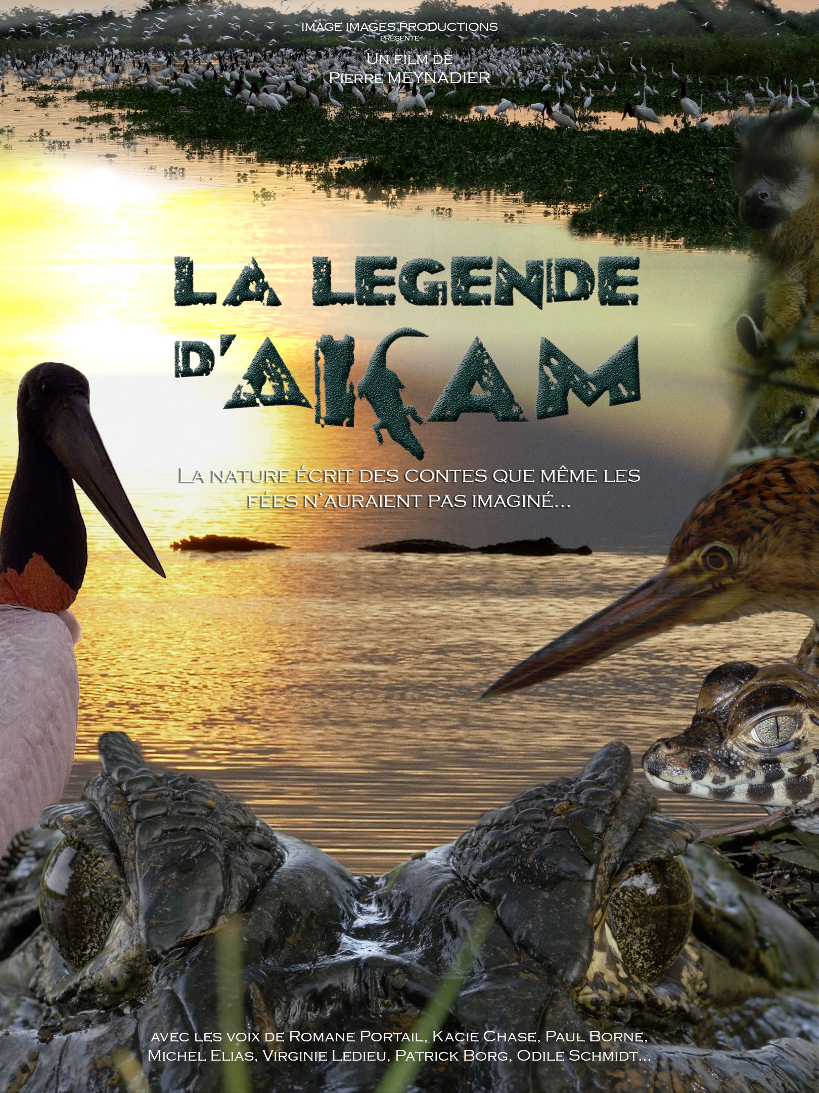 THE LEGEND OF AKAM